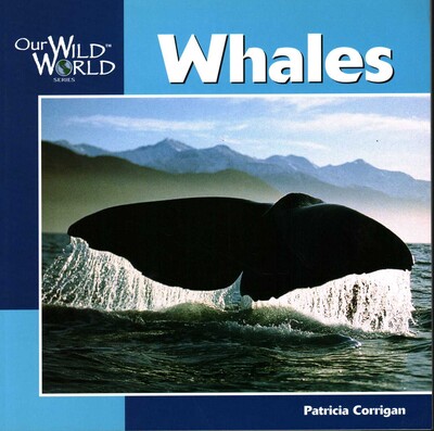 Whales Whales