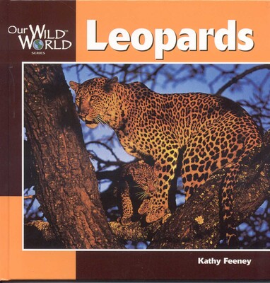 Leopards Leopards