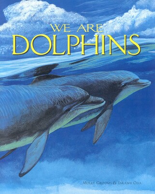 We Are Dolphins We Are Dolphins