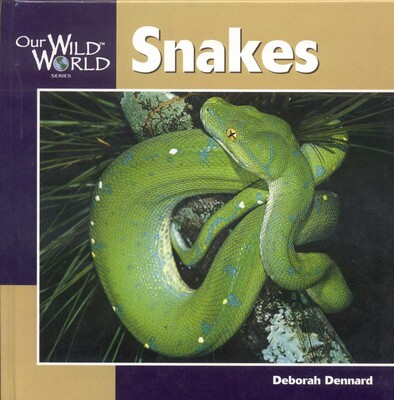 Snakes Snakes