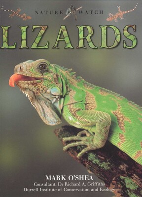 Lizards Lizards