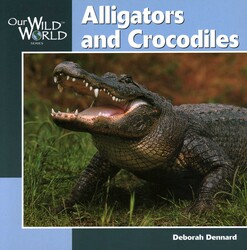 Alligators & Crocodiles