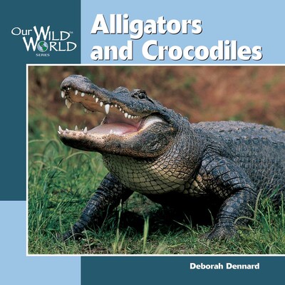 Alligators & Crocodiles Alligators & Crocodiles