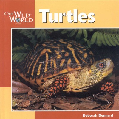Turtles Turtles