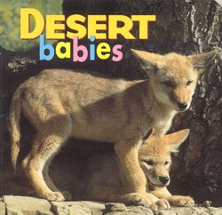Desert Babies Desert Babies