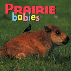 Prairie Babies Prairie Babies