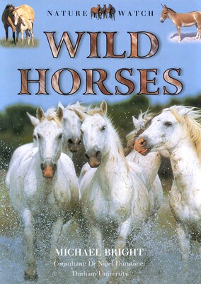 Wild Horses Wild Horses