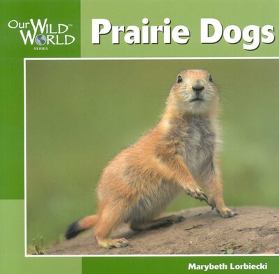 Prairie Dogs Prairie Dogs