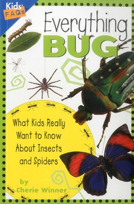 Everything Bug Everything Bug