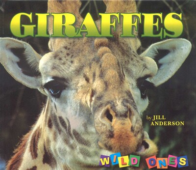 Giraffes Giraffes