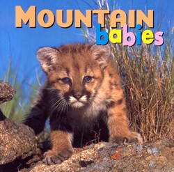 Mountain Babies Mountain Babies