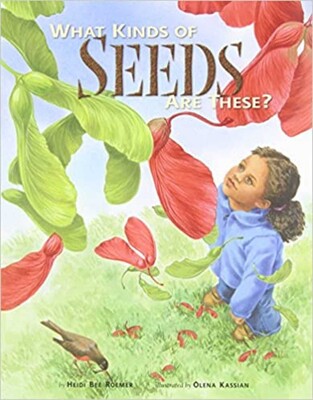 What Kinds of Seeds Are These? What Kinds of Seeds Are These?