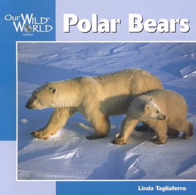 Polar Bears Polar Bears