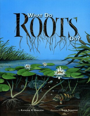 What Do Roots Do? What Do Roots Do?