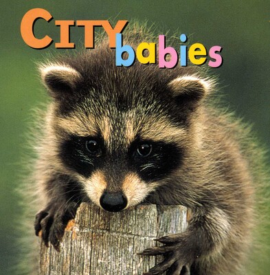 City Babies City Babies