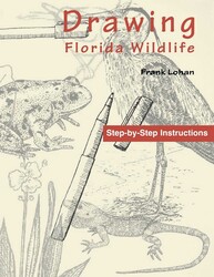 Drawing Florida Wildlife Drawing Florida Wildlife