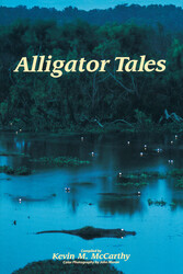 Alligator Tales Alligator Tales