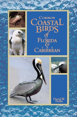 Common Coastal Birds of Florida & the Caribbean Common Coastal Birds of Florida & the Caribbean