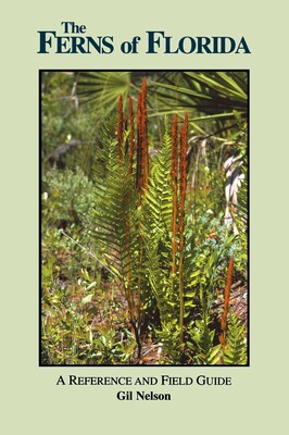 Ferns of Florida Ferns of Florida