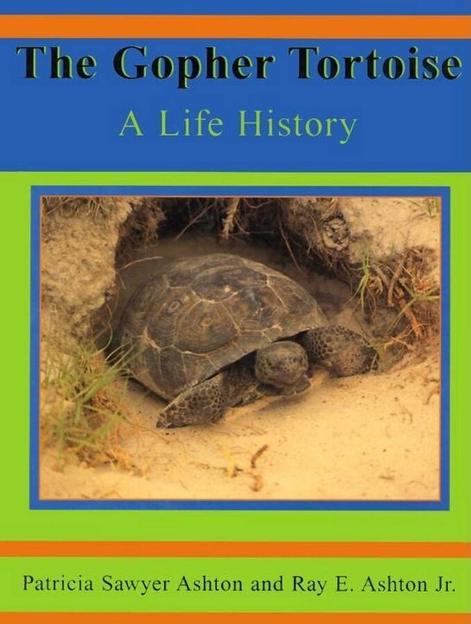 Gopher Tortoise