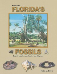 Florida's Fossils Florida's Fossils