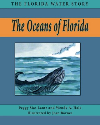 Oceans of Florida Oceans of Florida