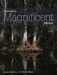 Florida's Magnificent Water Florida's Magnificent Water