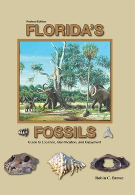 Florida's Fossils Florida's Fossils