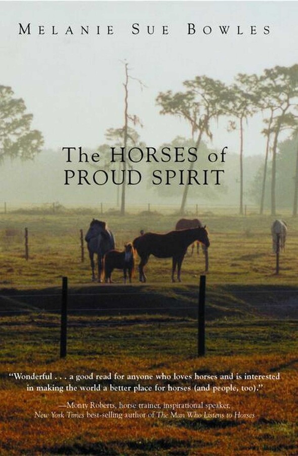 Horses of Proud Spirit