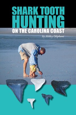 Shark Tooth Hunting on the Carolina Coast Shark Tooth Hunting on the Carolina Coast