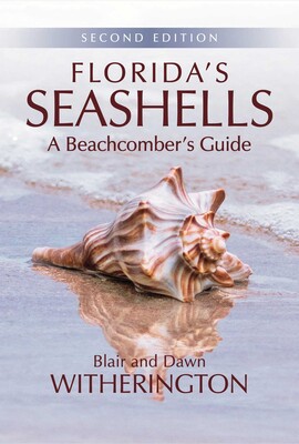 Florida's Seashells Florida's Seashells