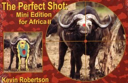 Perfect Shot Perfect Shot