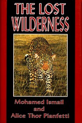 The Lost Wilderness