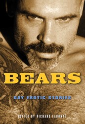 Bears Bears