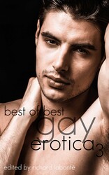 Best of Best Gay Erotica 3 Best of Best Gay Erotica 3