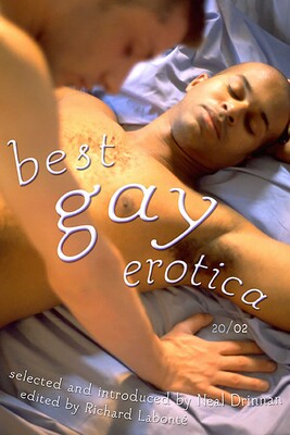Best Gay Erotica 2002 Best Gay Erotica 2002
