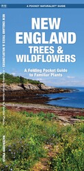 New England Trees & Wildflowers New England Trees & Wildflowers