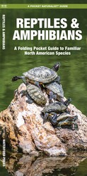 Reptiles & Amphibians Reptiles & Amphibians