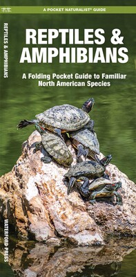 Reptiles & Amphibians Reptiles & Amphibians