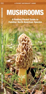 Mushrooms Mushrooms