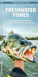 Freshwater Fishes