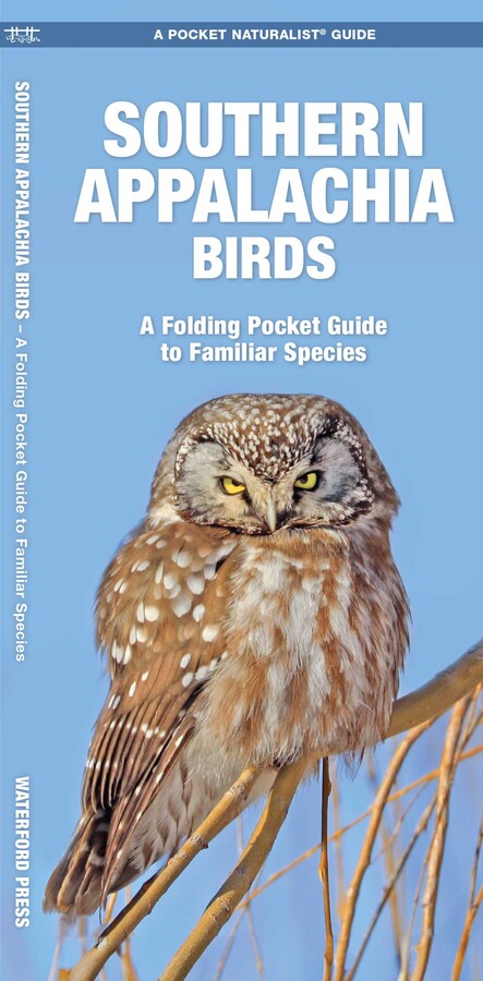 Southern Appalachia Birds