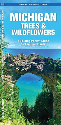 Michigan Trees & Wildflowers Michigan Trees & Wildflowers
