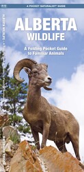 Alberta Wildlife, 2nd Ed