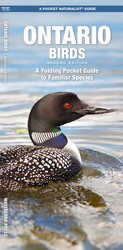 Ontario Birds, 2nd Ed Ontario Birds, 2nd Ed