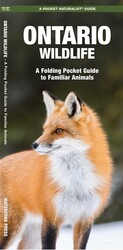 Ontario Wildlife, 2nd Ed Ontario Wildlife, 2nd Ed