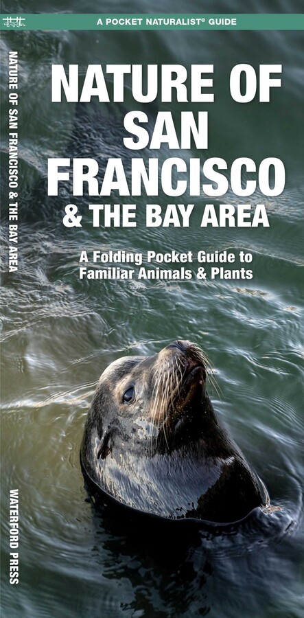 San Francisco & the Bay Area, Nature of