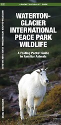 Waterton - Glacier International Peace Park Wildlife Waterton - Glacier International Peace Park Wildlife