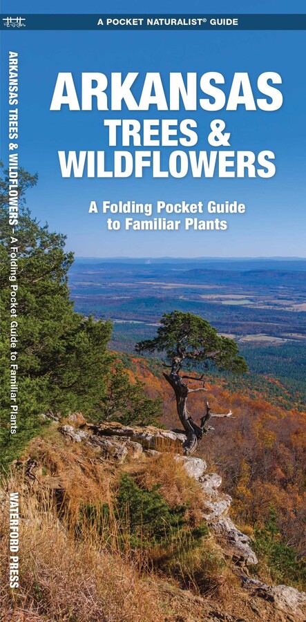 Arkansas Trees & Wildflowers - Book Summary & Video | Official ...