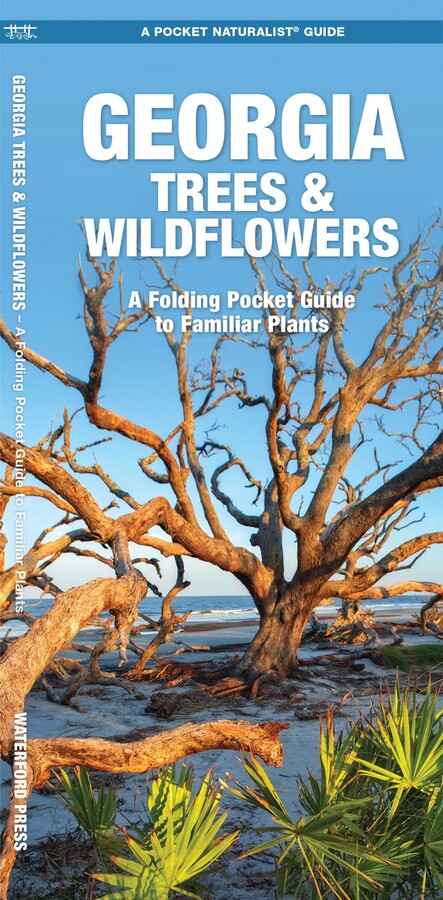 Georgia Trees & Wildflowers
